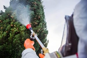 Curso online de renovación del certificado para el uso de productos fitosanitarios