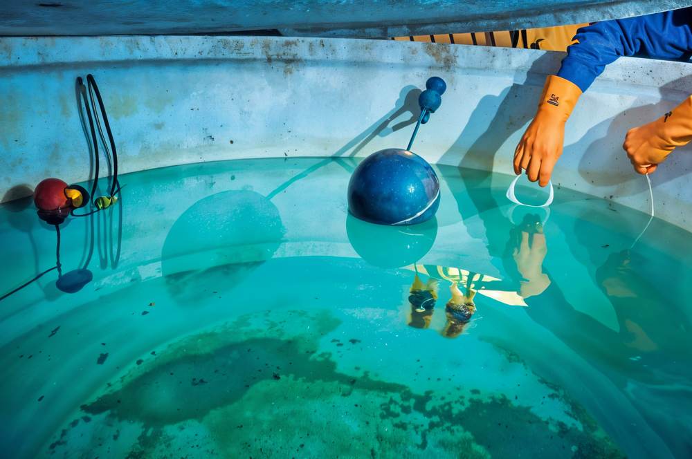 Curso Oficial de Legionella