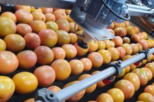 Inscripción en el ROPO | ICSAM