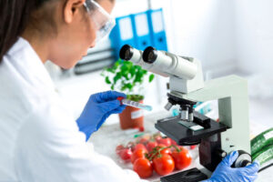 Seguridad Alimentaria | Formación online