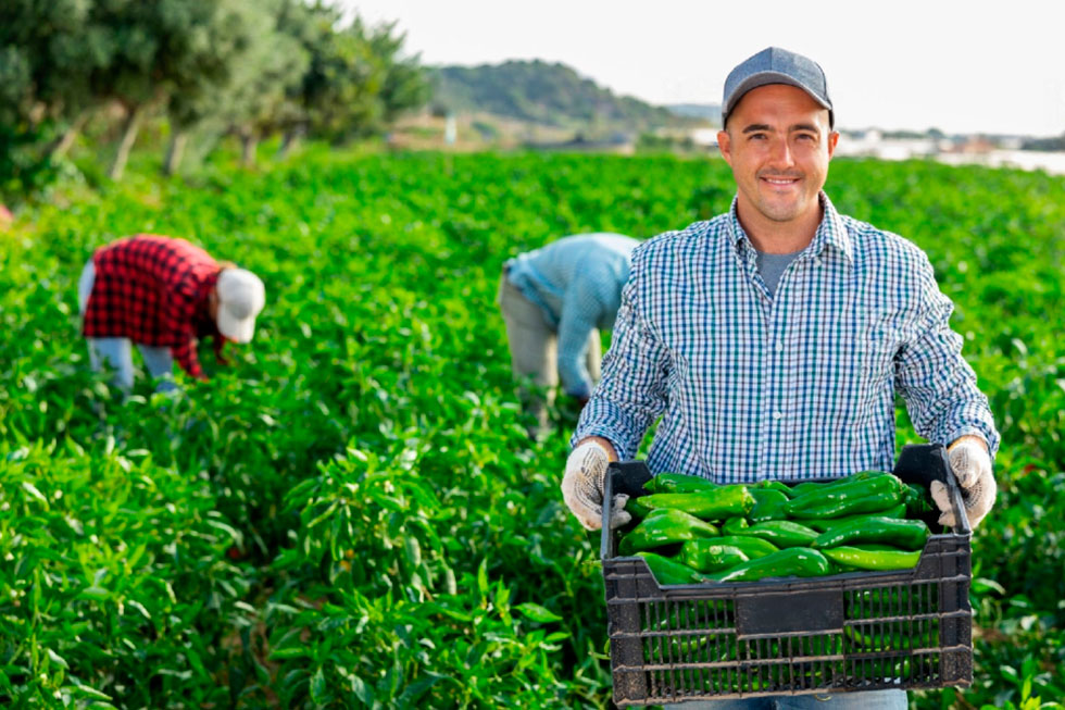Seguridad Alimentaria | ICSAM, formación online