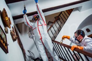 Empresa de control de plagas | ICSAM