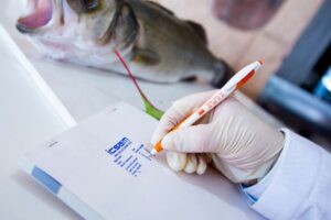 Implantación del sistema APPCC