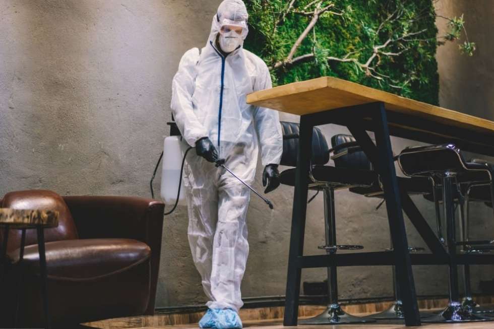 Control de plagas en restaurantes