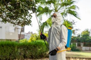 Renovación de carné de fitosanitarios