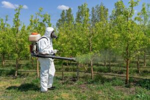 Usuario cualificado de productos fitosanitarios