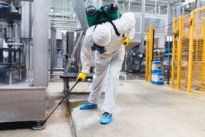 Control de plagas en empresas