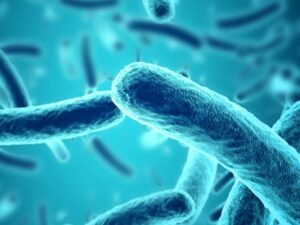 Curso de operaciones menores en la prevención y control de legionella