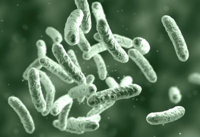 Control y prevención de la legionella