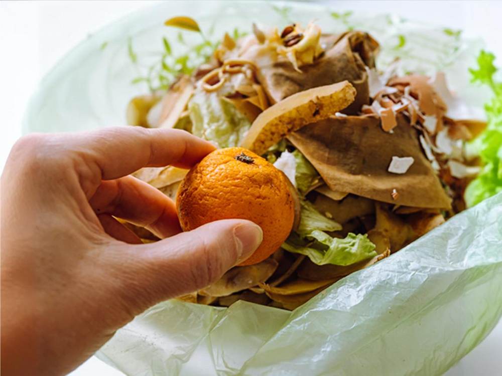 Curso de Prevención y Reducción del Desperdicio Alimentario