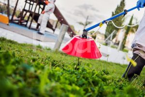 Curso renovación fitosanitarios de uso fitosanitario (Presencial)