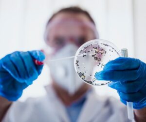 Curso Certificado de Profesionalidad Gestión de Organismos Nocivos Privado (510 horas)