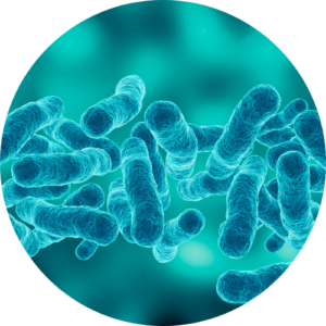 legionella