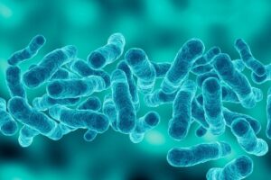 Curso de operaciones menores de control de legionella
