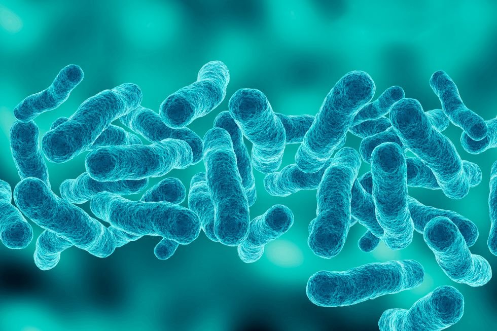 Curso de operaciones menores de control de legionella