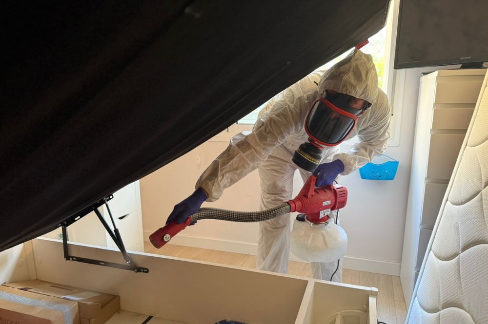 Certificado SEA_C_001_4B