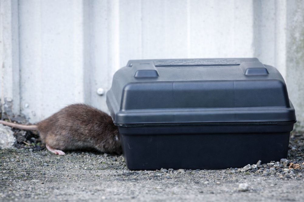 Trampa para teledetección en control de plagas