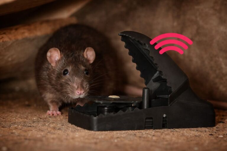 Trampas para teledectección de plagas