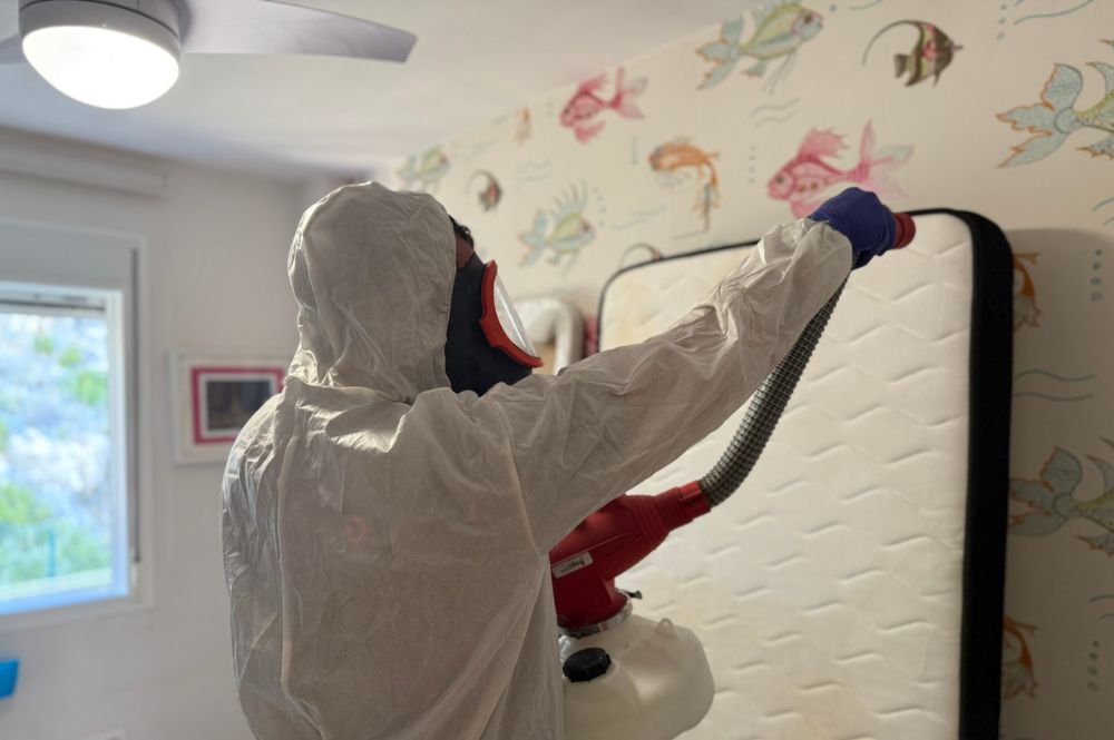 Tratamiento de chinches en residencias