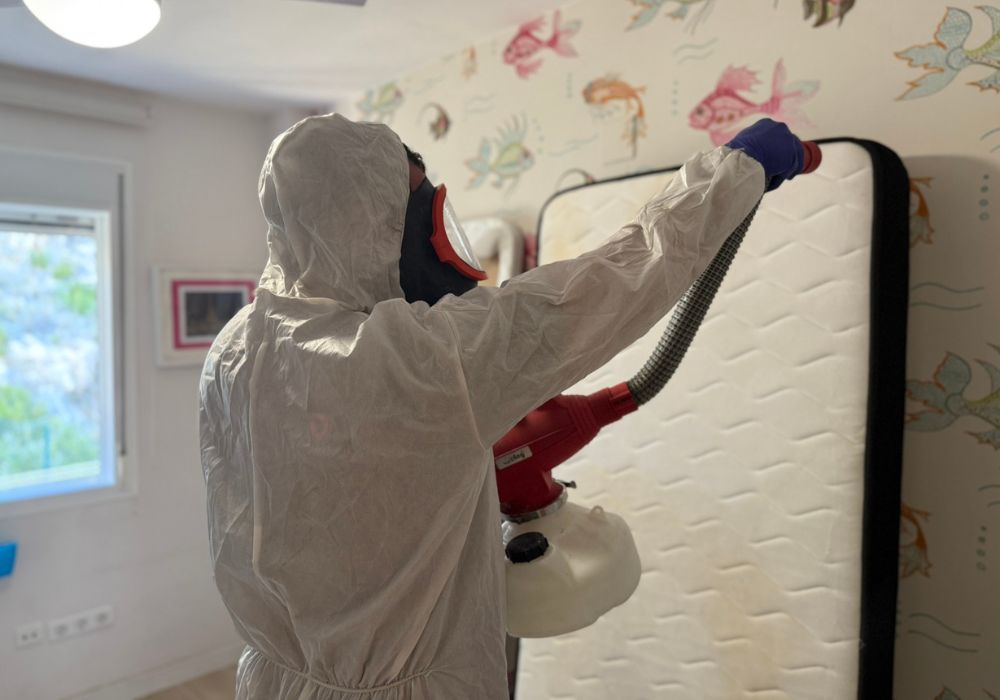 Control de plagas en Gandia