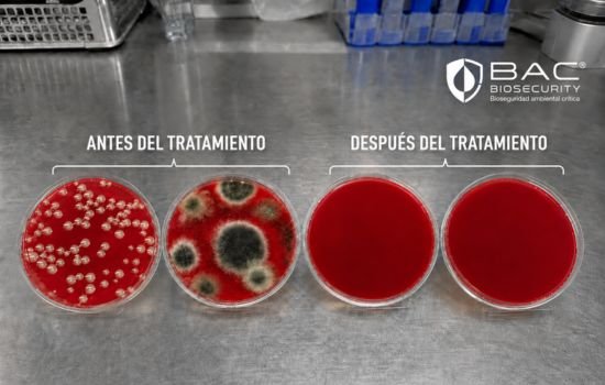 9 - Imagen de comparativa micro. Placas RODAC contaminadas