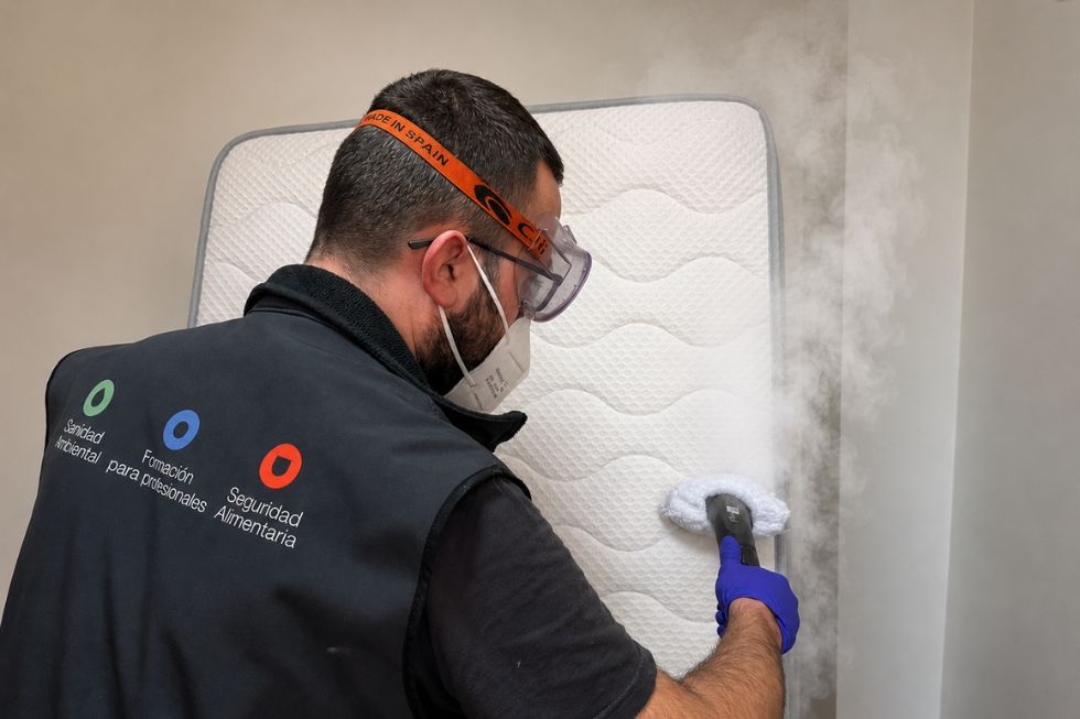 Imagen de técnico aplicando vapor para eliminación de chinches