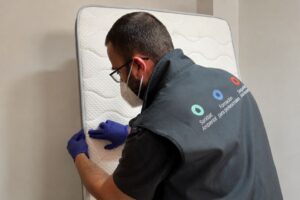 Imagen de un técnico realizando una desinfección de chinches