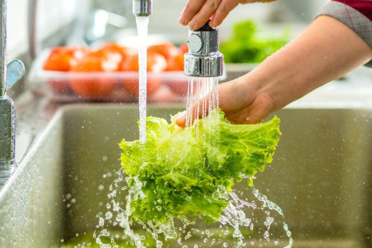 Imagen de Lavado de lechuga contra la Cyclospora
