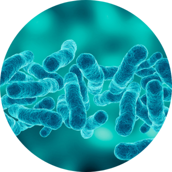 legionella